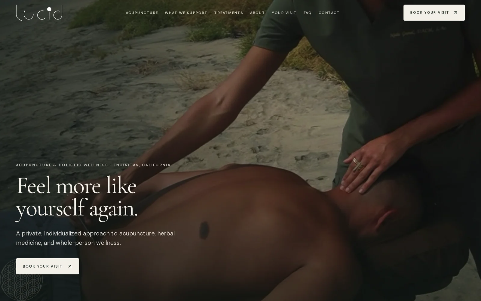 Lucid website home page
